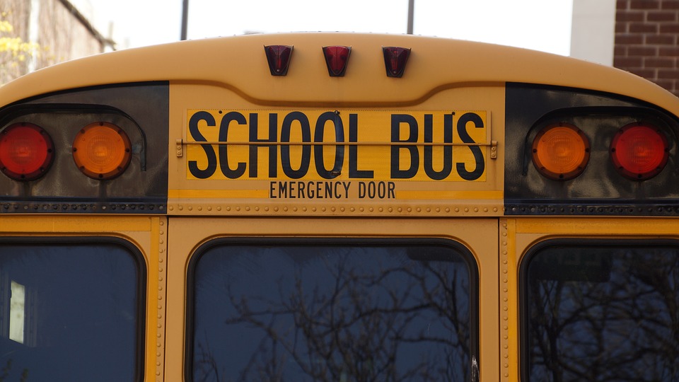 11 School Bus Safety Activities – The Edvocate