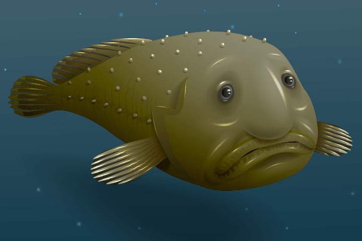 What Do Blobfish Eat? - American Oceans